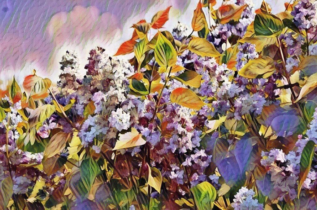 Интернет Сиреневый бульвар, село Рождествено, ЖК Новоснегирёвский